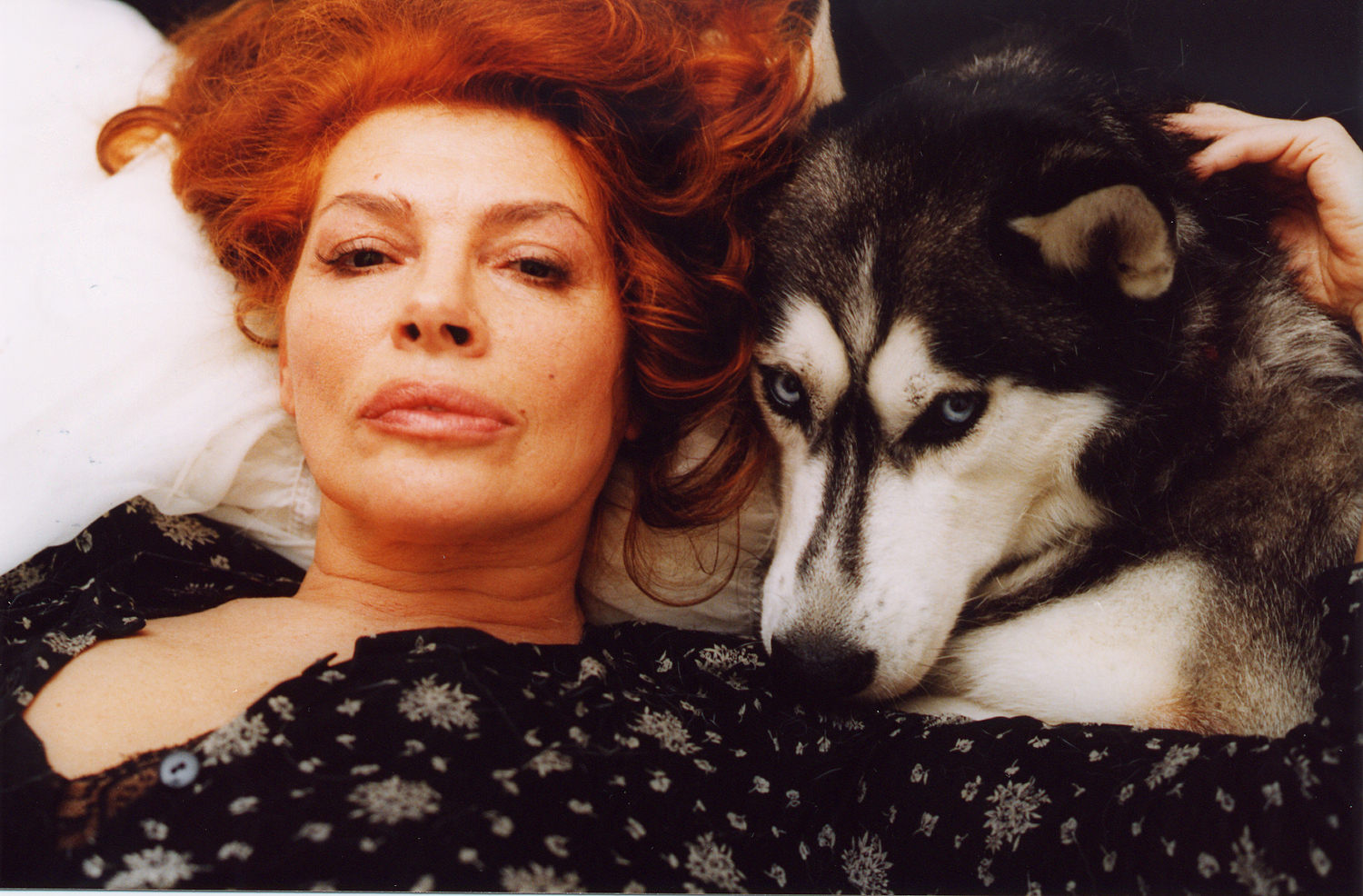 ANIMAL LOVE, 1996