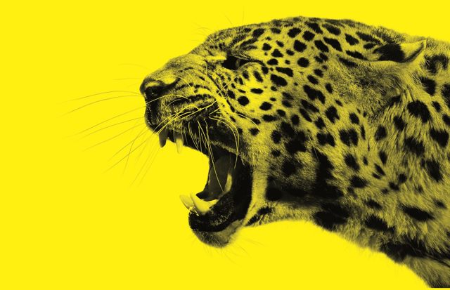 Locarno Film Festival in Istanbul